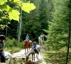 Trail Riding near Algonquin Park, Ontario. Public Riding Stables. Horse Camps & Equestrian Programs near Algonquin Park, Ontario. Close to Toronto, Barrie, Ottawa, Orillia, Kingston & London