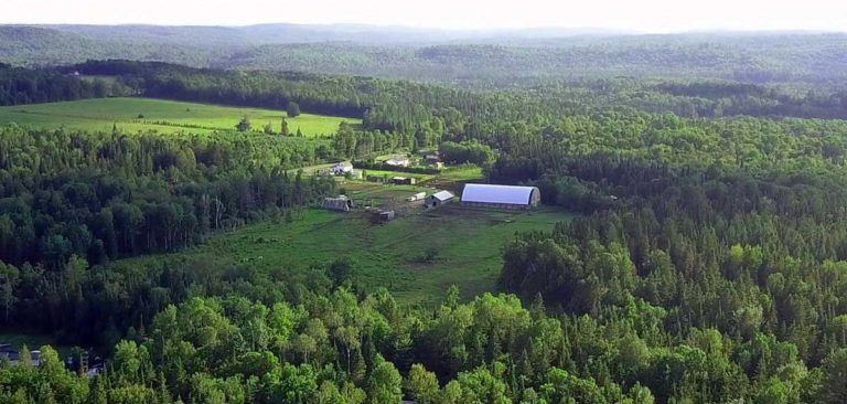 Cabin rentals near Algonquin Park. Trail Riding & Public Riding Stables. Horse Camps & Equestrian Programs near Algonquin Park, Ontario. Close to Toronto, Barrie, Ottawa, Orillia, Kingston & London.