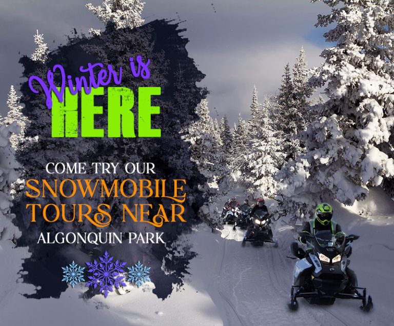 ontario, snowmobile,snowmobiling,tours, algonquin, park, tour, guided.